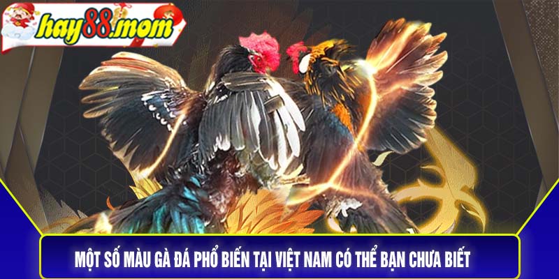 Một số màu gà đá phổ biến tại Việt Nam có thể bạn chưa biết